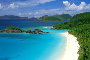 Trunk Bay St John USVI